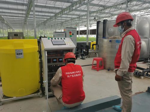 不曬太陽(yáng)不著土,一年能收14茬 南通市首個(gè)全電智慧植物工廠滿滿科技范兒