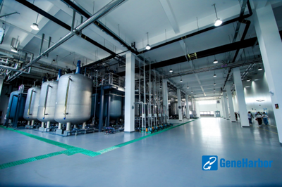 基因港100噸NMN工廠正式投產，成功通過FDA GMP認證引領生物科技新篇章