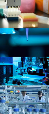 生物科技的實(shí)驗(yàn)系列素材探索